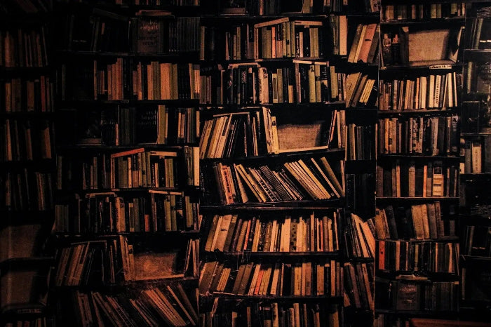 Stacks of books on shelves in a dimly lit room